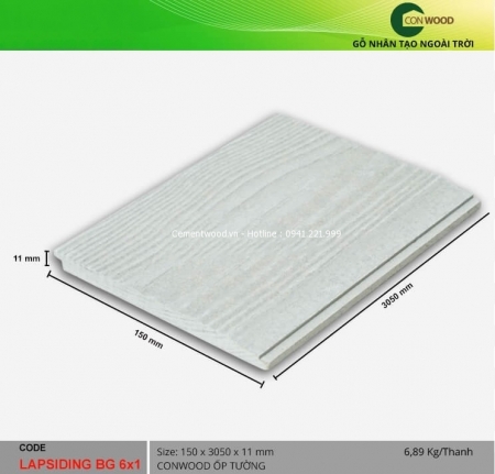 LAPSIDING BG